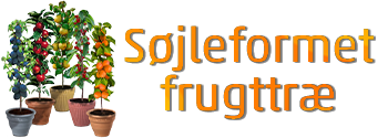Pelarfruktträd